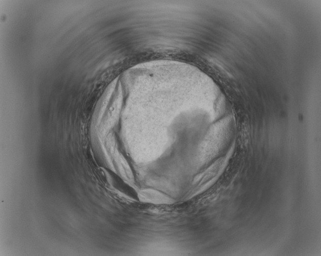 X0000088380917200706191304