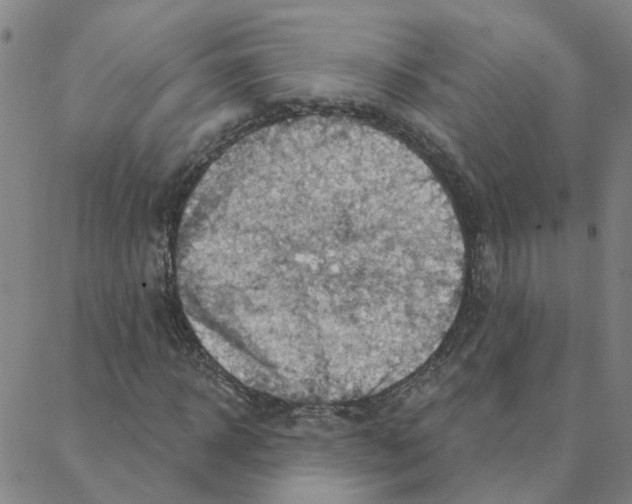 X0000088380918200706191304