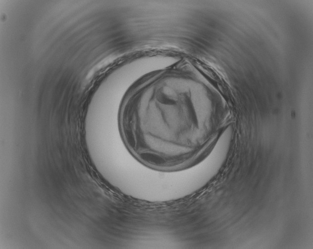 X0000088380920200706191304