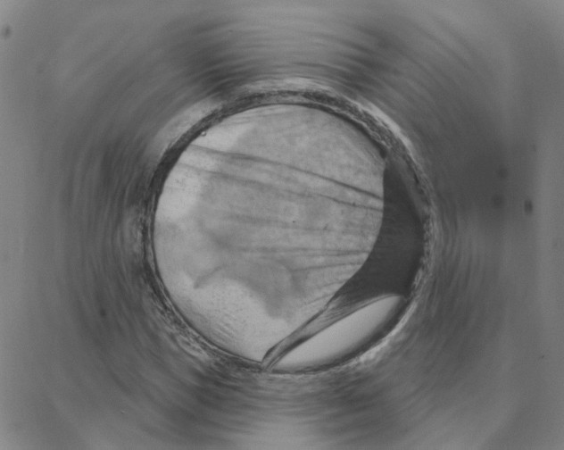 X0000088380921200706191304