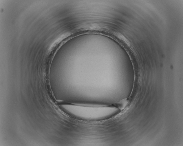 X0000088380922200706191304