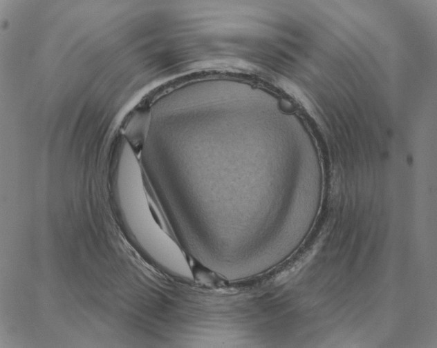 X0000088380923200706191304