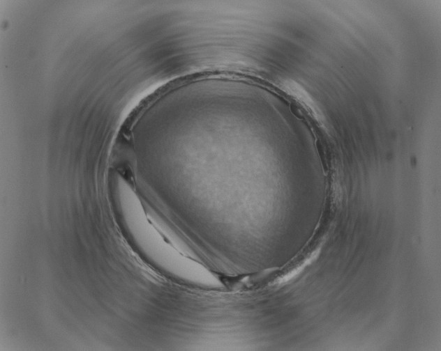 X0000088380924200706191304