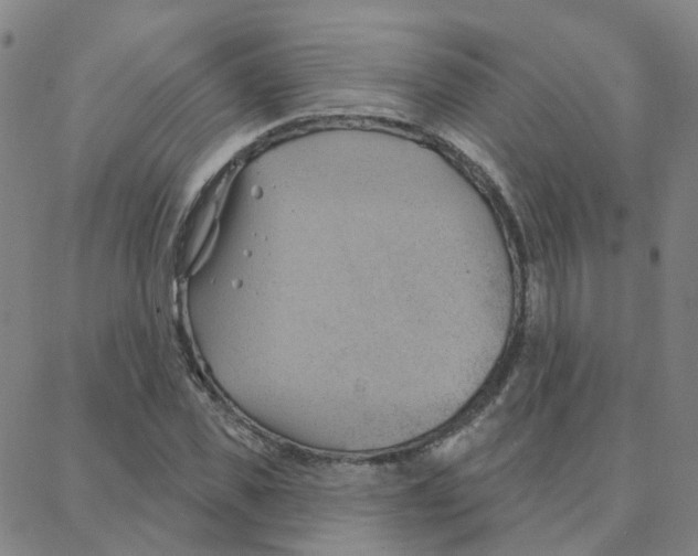 X0000088380925200706191304