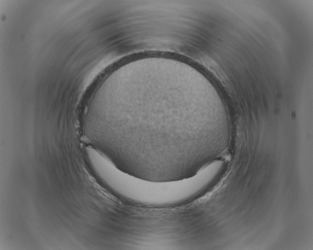 X0000088380926200706191304