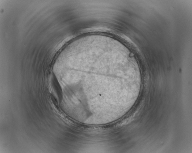 X0000088380929200706191304