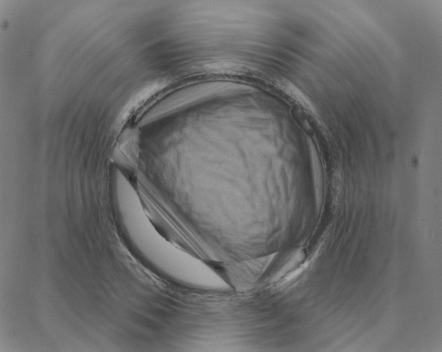 X0000088380930200706191304