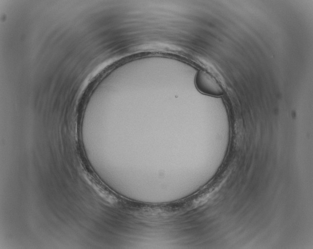 X0000088380931200706191304