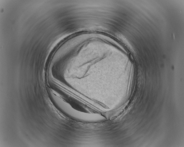 X0000088380932200706191304