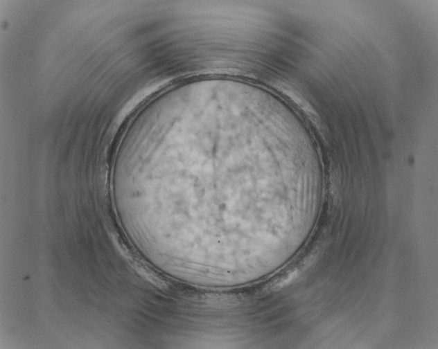 X0000088380933200706191304