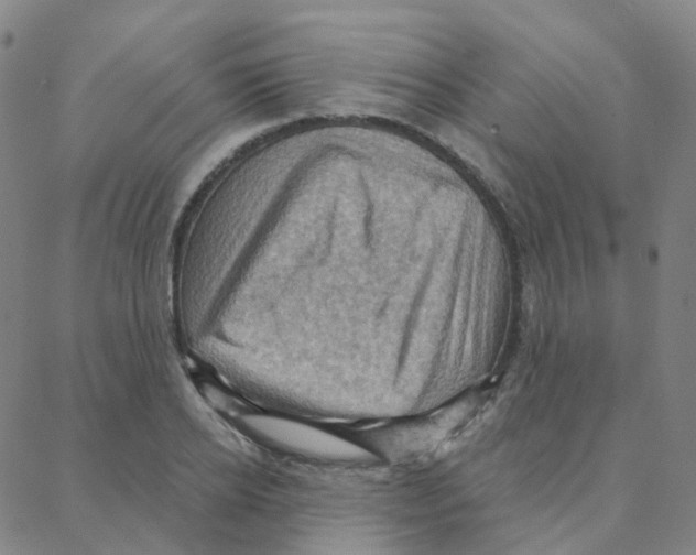 X0000088380934200706191304