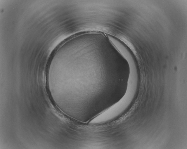 X0000088380936200706191304