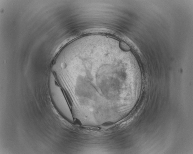 X0000088380937200706191304