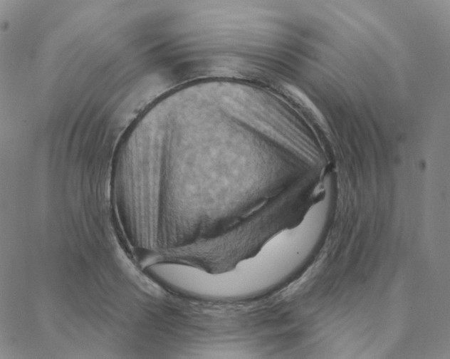 X0000088380938200706191304