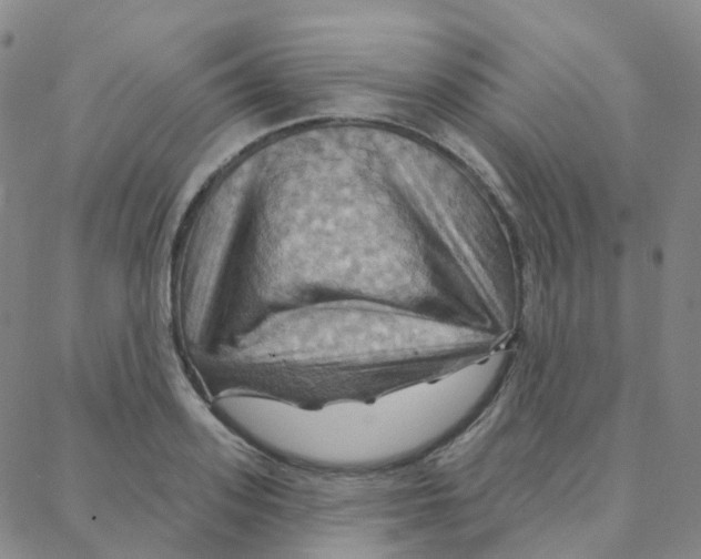 X0000088380939200706191304