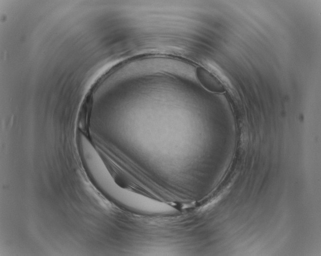 X0000088380940200706191304