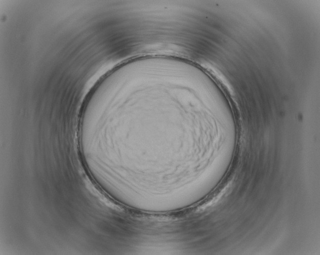 X0000088380941200706191304