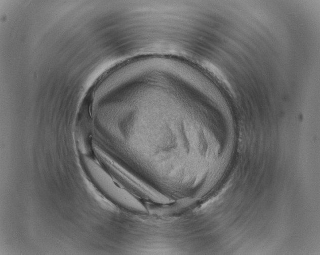 X0000088380942200706191304