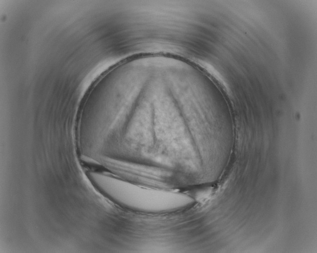 X0000088380943200706191304