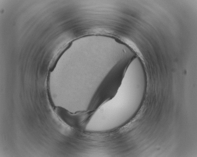 X0000088380946200706191304