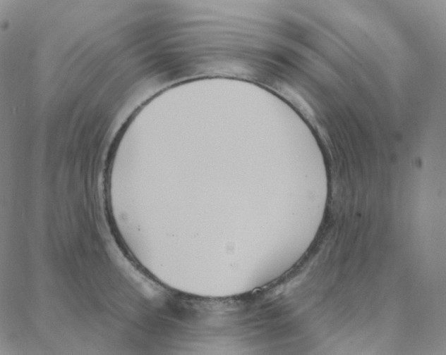 X0000088380947200706191304