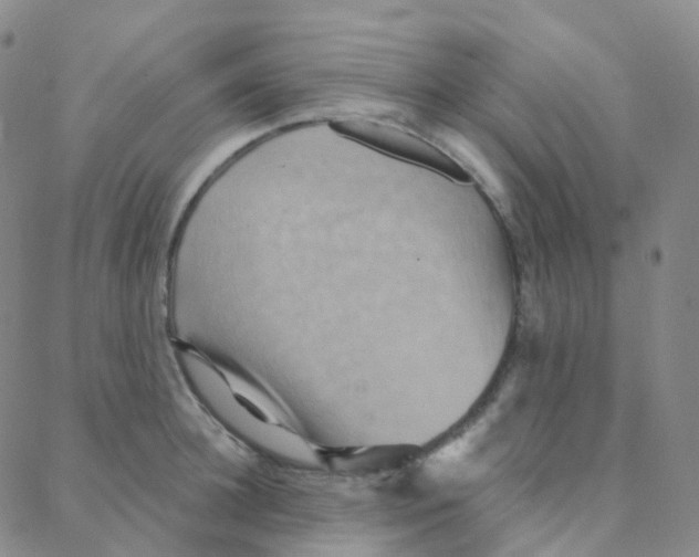 X0000088380948200706191304