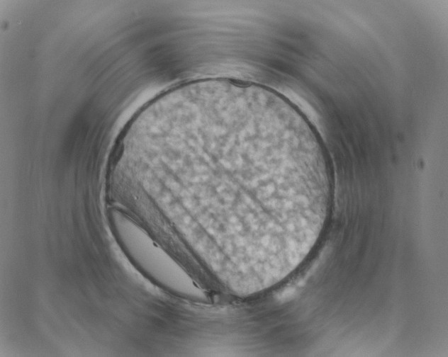 X0000088380949200706191304