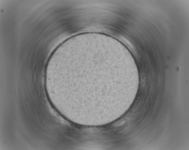 X0000088380950200706191304