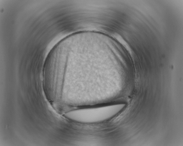 X0000088380951200706191304