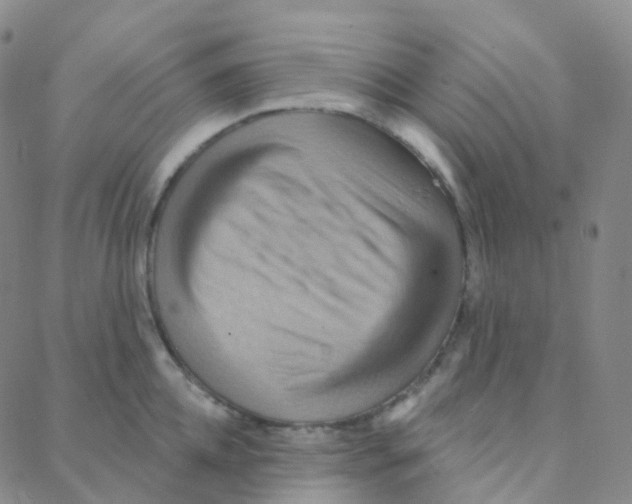 X0000088380952200706191304