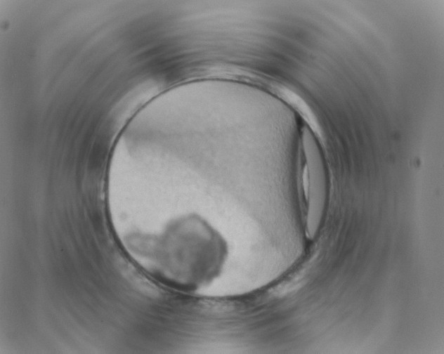 X0000088380954200706191304