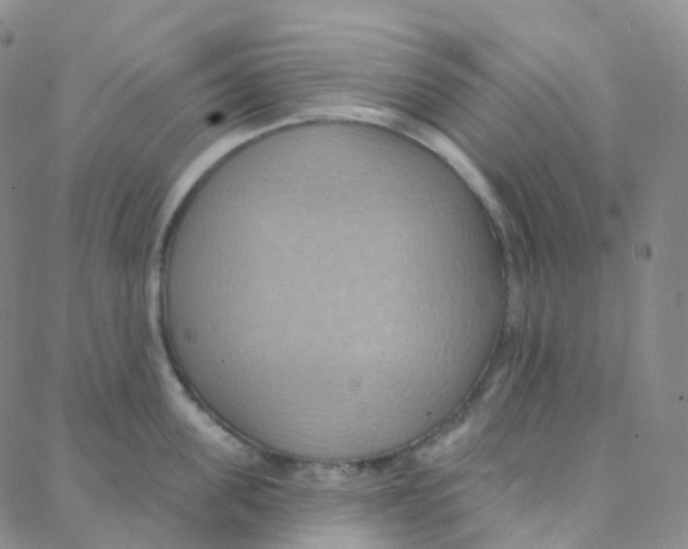 X0000088380955200706191305