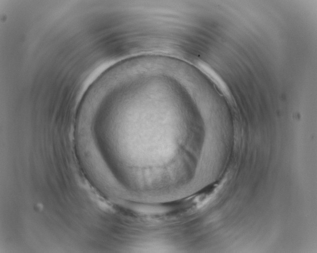 X0000088380956200706191305