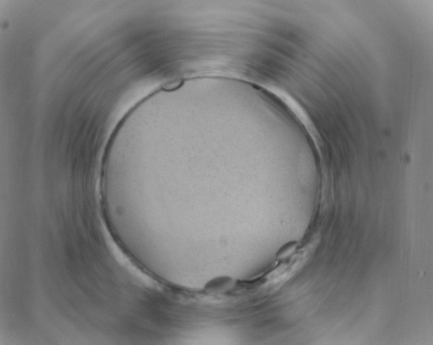 X0000088380957200706191305