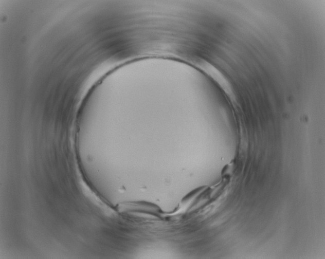 X0000088380958200706191305