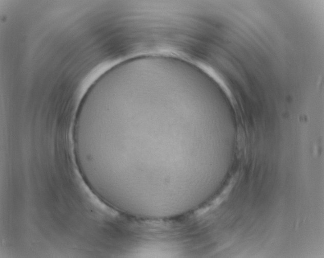 X0000088380959200706191305