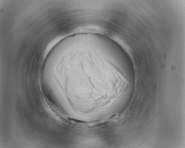 X0000088380960200706191305