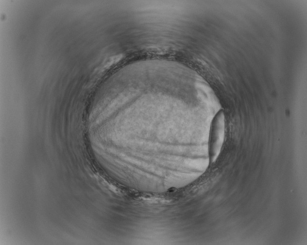 X0000088380961200706191304