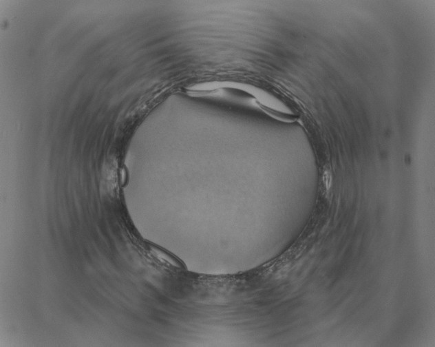 X0000088380963200706191304