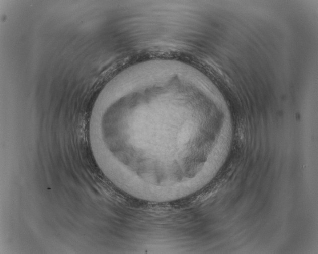 X0000088380964200706191304