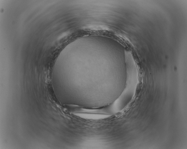 X0000088380965200706191304