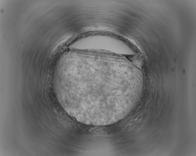 X0000088380967200706191304