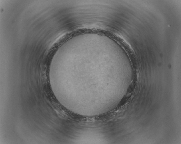 X0000088380968200706191304