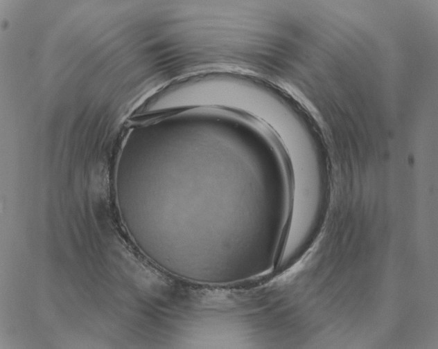 X0000088380969200706191304