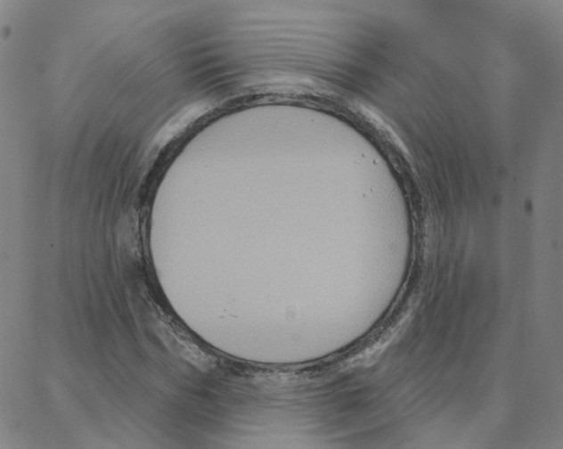 X0000088380970200706191304