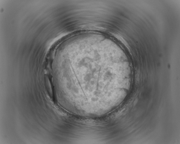 X0000088380971200706191304