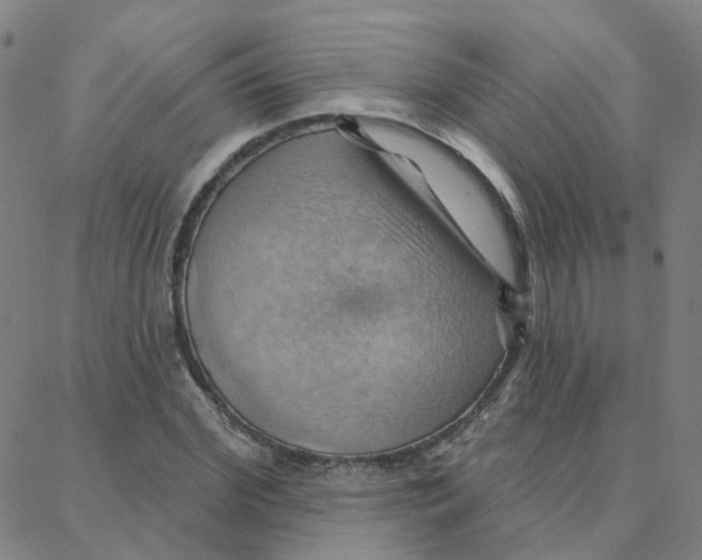 X0000088380972200706191304