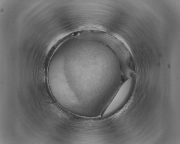 X0000088380973200706191304