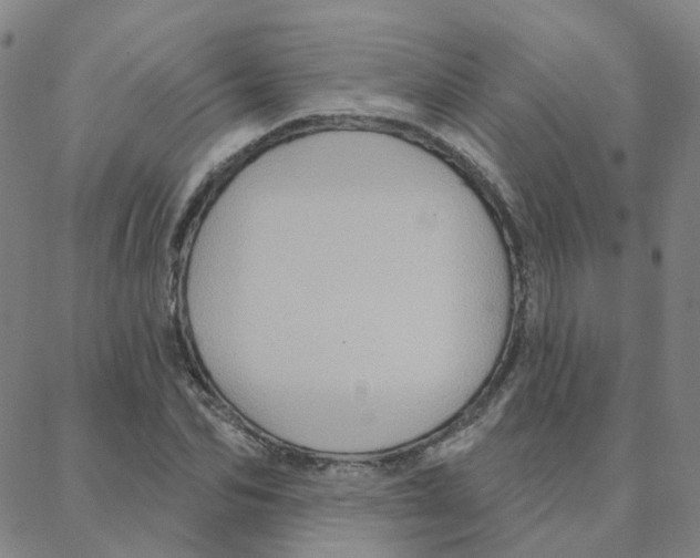 X0000088380974200706191304