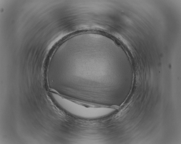 X0000088380975200706191304